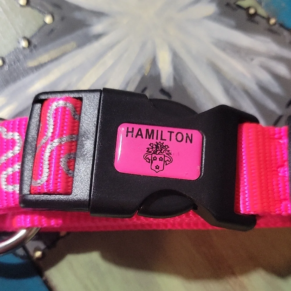 Hamilton Vibrant Pink Dog Collar